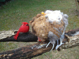 Alpaca Bird Nesting Ball