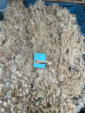 Light Fawn Huacaya Alpaca Fiber - Chaska25