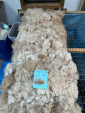 Fading Fawn Alpaca Fiber - Buckskin25