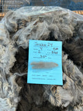 Medium to Dark Silver Grey Alpaca Fleece - Smoke24