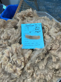Light Fawn Alpaca fiber - DeeDee25