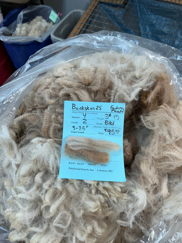 Fading Fawn Alpaca Fiber - Buckskin25