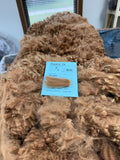 Medium Fawn Alpaca Fiber -Robbie26