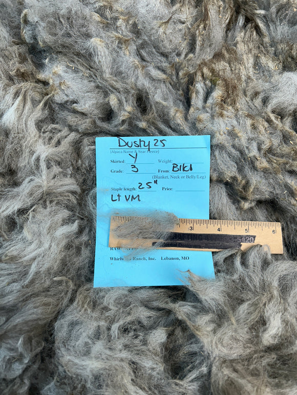 Light Silver Grey Alpaca Fiber - Dusty25