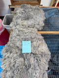 Medium Silver Grey Alpaca Fiber - Drummer 26