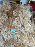 Fading Fawn Alpaca Fiber - Buckskin25