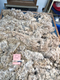 Light Fawn Alpaca Fiber - Chaska23