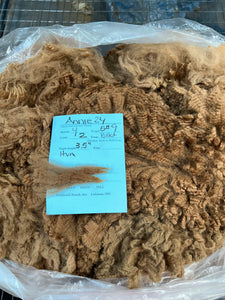 Dark Fawn Alpaca Fleece - Annie24