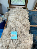 Light Rose Grey Alpaca Fiber - Orion25