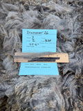 Medium Silver Grey Alpaca Fiber - Drummer 26