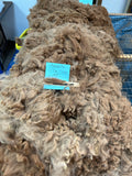 Dark Fawn Alpaca Fleece - Annie24