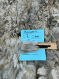 Medium Silver Grey Alpaca Fiber - Charnelle25
