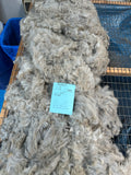 Light Silver Grey Alpaca Fiber - Dusty25