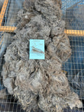 Dark Silver Grey Alpaca Fiber - DSG23