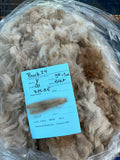 Fading Fawn Alpaca Fleece - Buck24