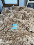 Medium Fawn Alpaca Fiber - DD26