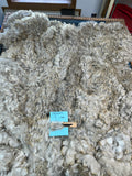 Medium Silver Grey Alpaca Fiber - Charnelle25