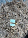 Dark Silver Grey Alpaca Fiber - DSG23