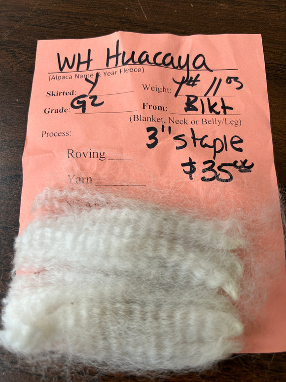 White Huacaya Alpaca Fleece