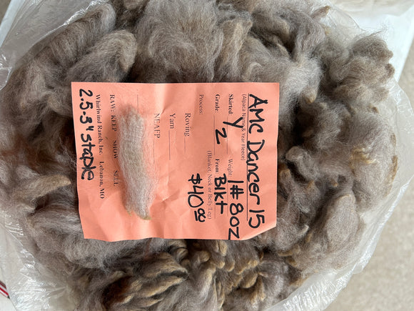 Silver Grey Alpaca Fleece - Dancer15