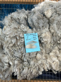 Light Silver Grey Alpaca Fiber (Grey Feather23N)