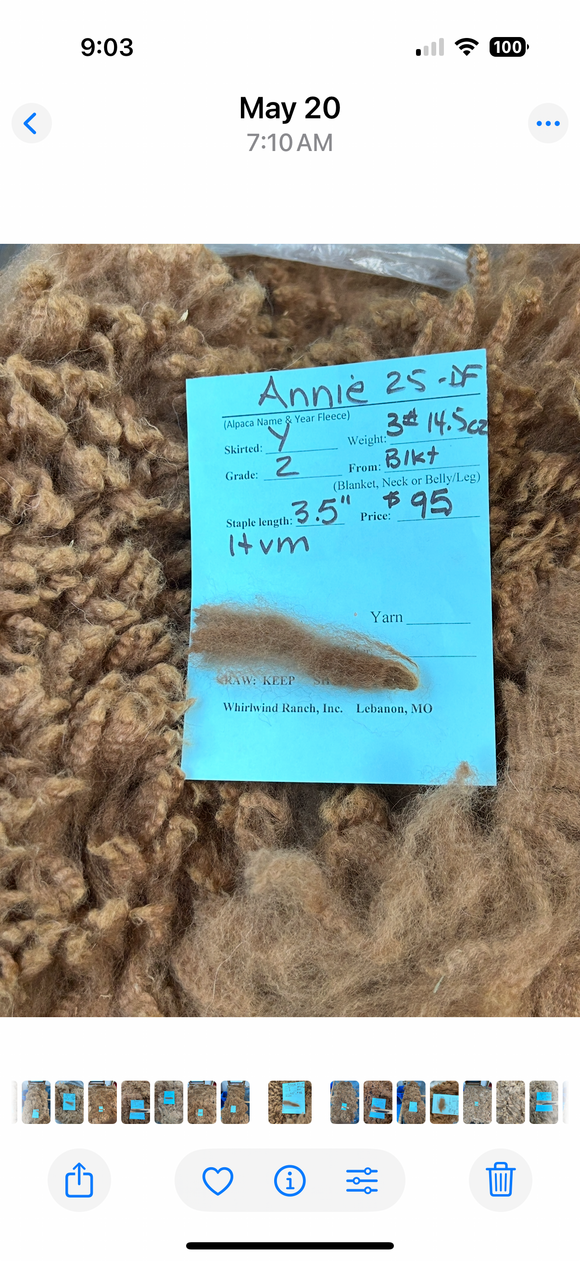 Dark Fawn Alpaca Fiber - Annie 25