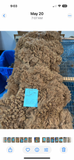 Dark Fawn Alpaca Fiber - Annie 25