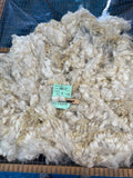 White Alpaca Fleece - Miss B Havin 15
