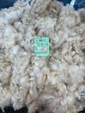 White Alpaca Fleece - Miss B Havin 15