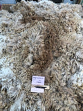 Fading Fawn Alpaca Fiber -Buckskin21