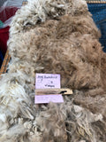 Fading Fawn Alpaca Fiber -Buckskin21