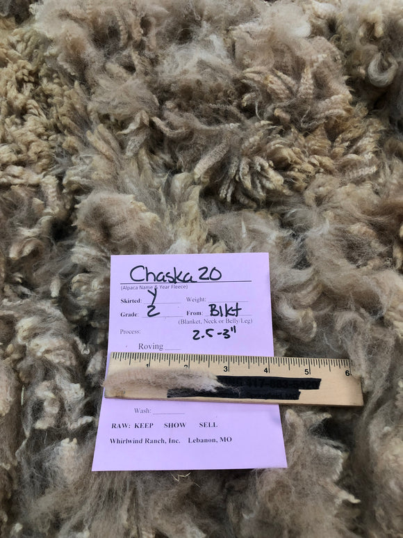 Light Fawn Baby Alpaca Fiber - Maize24