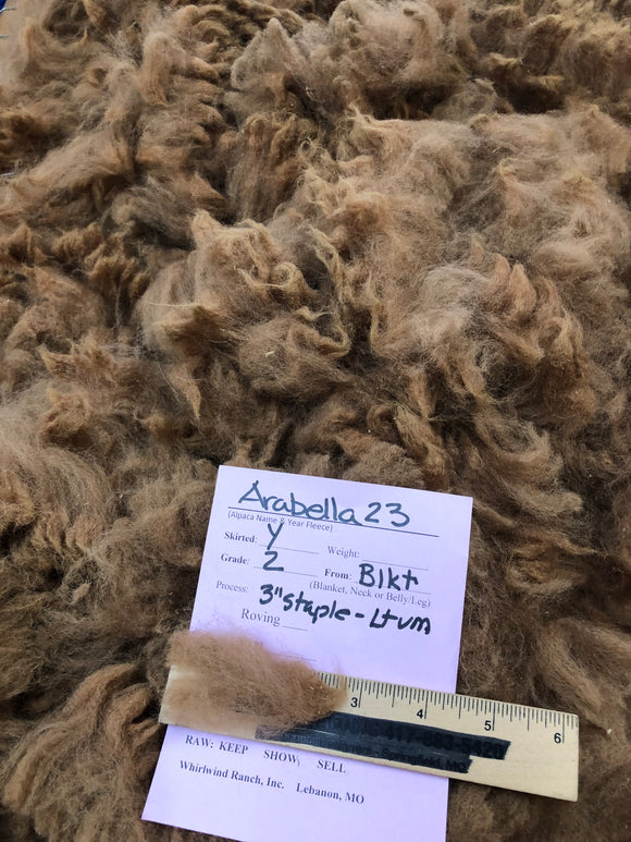 Dark Fawn Alpaca Fiber - Arabella23