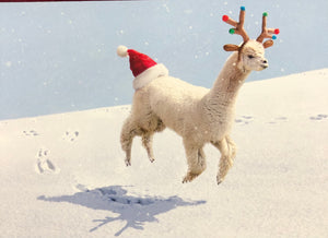 Alpaca Holiday Card