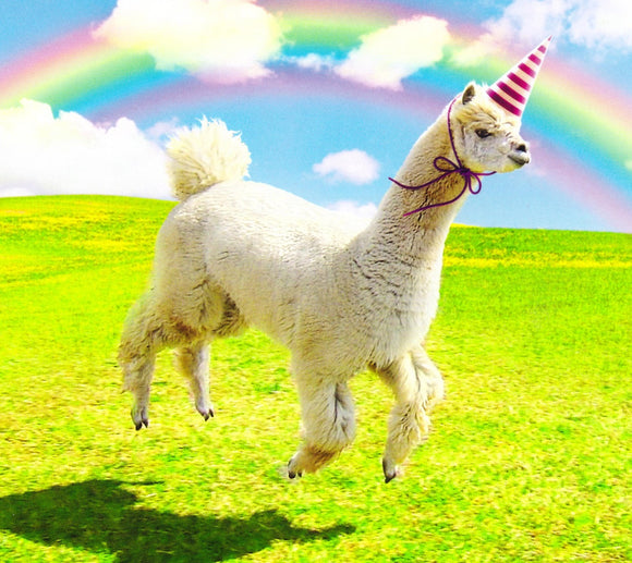 Alpaca Party Hat Birthday Card